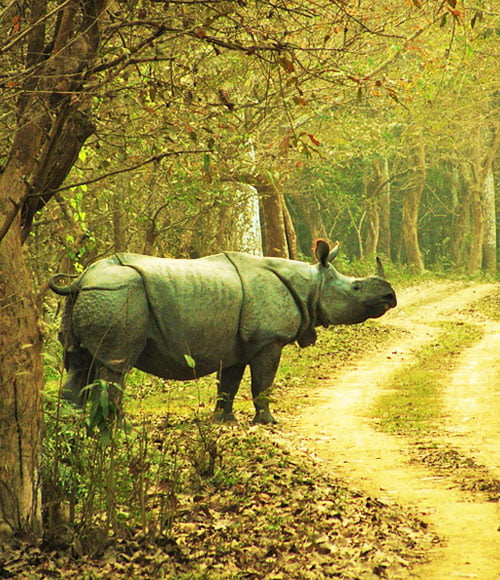 Assam