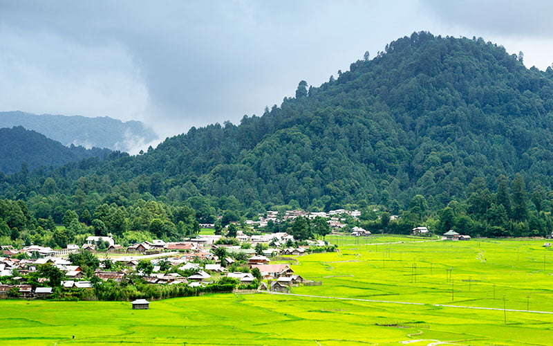 Ziro