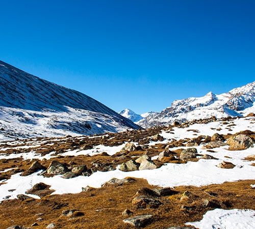 The Sparkling Gems of Sikkim