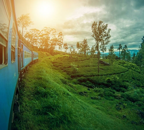 Beautiful Dooars Tour